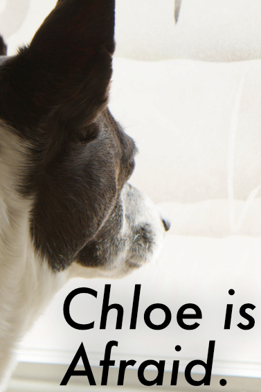 Chloe is Afraid (2024) poster
